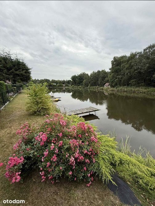 Domek 45m2, Szczawin