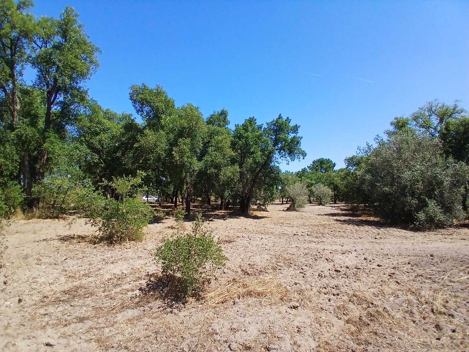 Terreno para venda em Vale de Santarém com construção iniciada