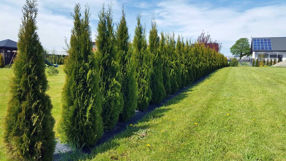 BUDOWLANA M. Plan Zagospodarowania Przestrz. 2520m2 MPZP i WZ ! Słupca
