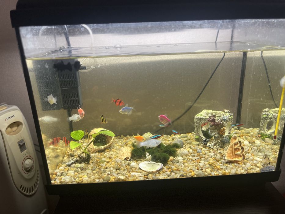 Продам аквариум на 55 литров