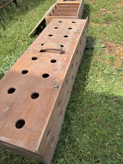 Cestos para transporte pombos columbofilia