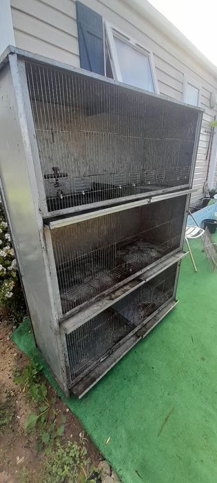 Voadeiras para canarios