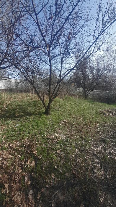 Продаж земельної ділянки біля моря в м. Малин