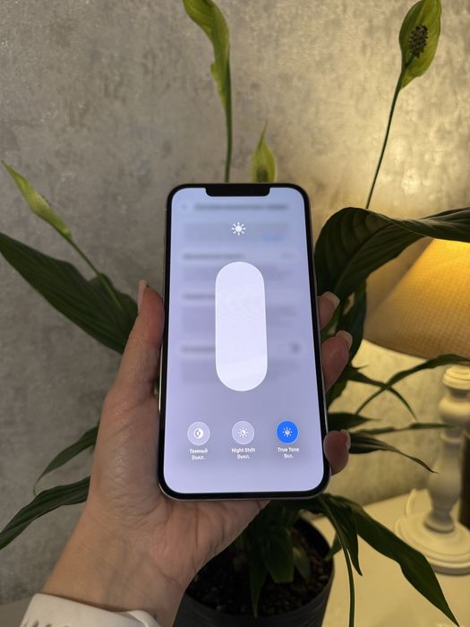 Iphone 12 Pro Max 256gb Silver айфон