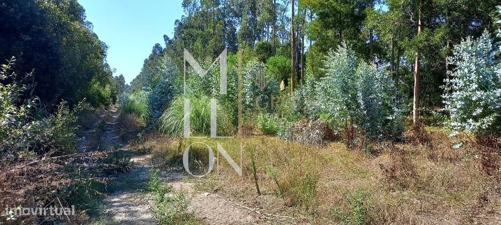Terreno Rustico com 7800hectares de área total