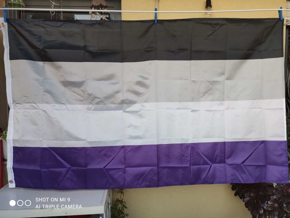 Bandeira Assexual 150x90 cm Nova