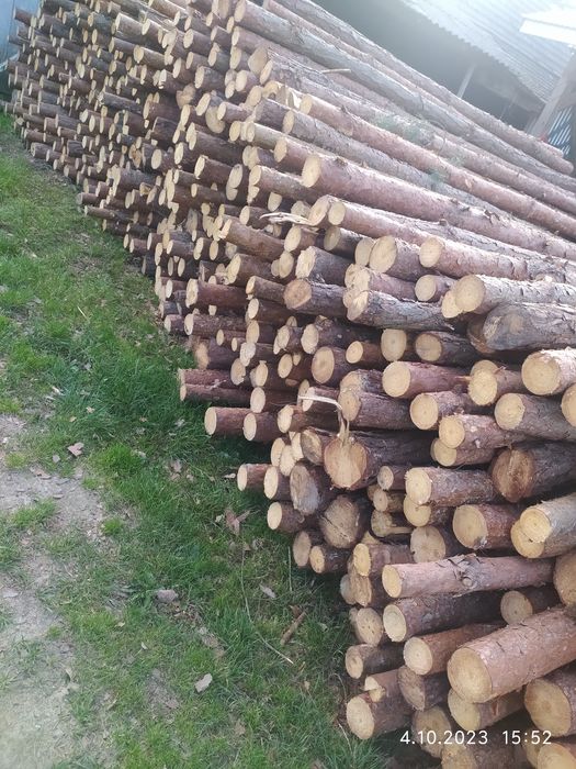 Stemple budowlane 3  m i słupki ogrodzeniowe