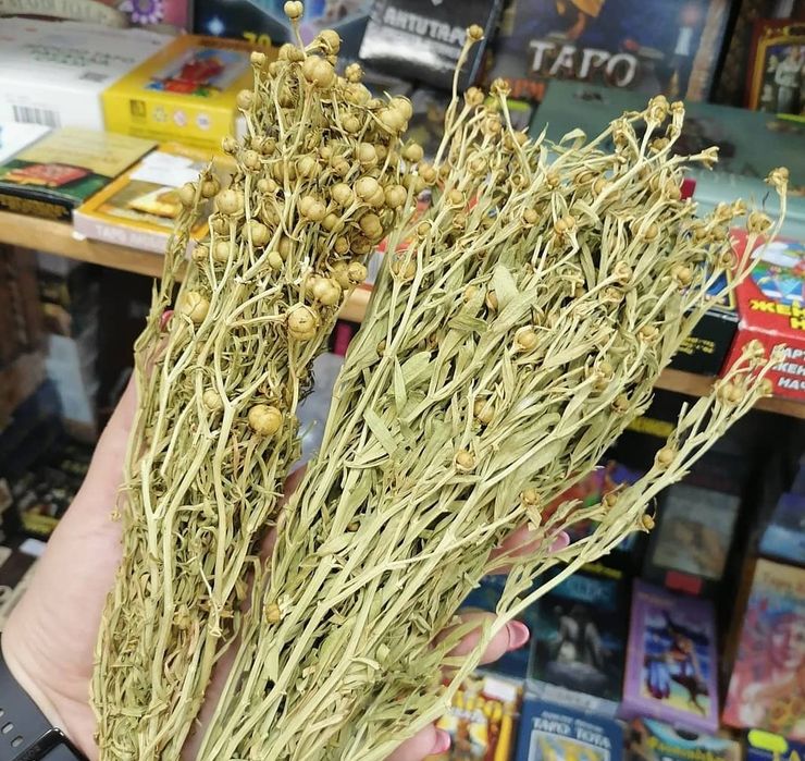 Гармала, могильник 9 шт