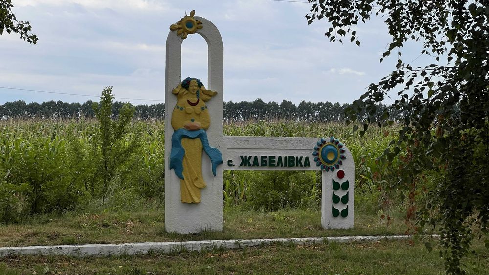 Продаж будинку під ремонт з рівною ділянкою 60 соток неподалік Вінниці с. Жабелівка.