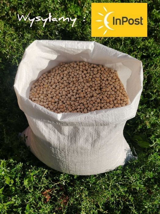 Groch opakowanie 25kg wysyłka natychmiast Inpost