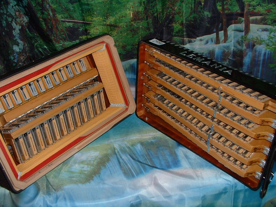 Acordeão Avenda G, .294