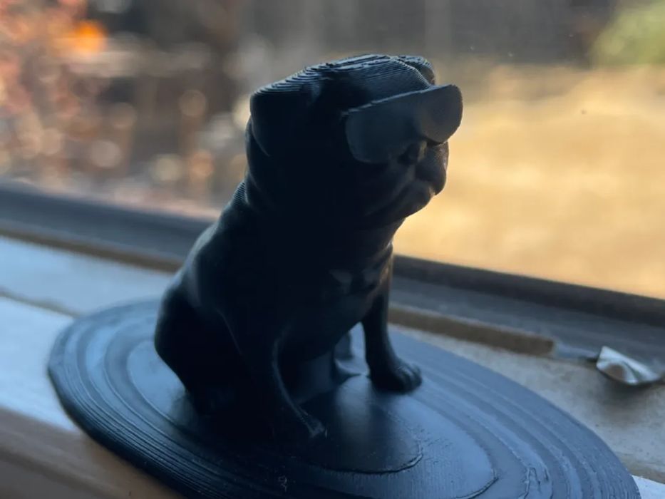 Adorable Surfing Puppy - Surfing Pug