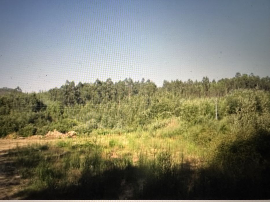 Terreno Rustico  com quase 25000m2