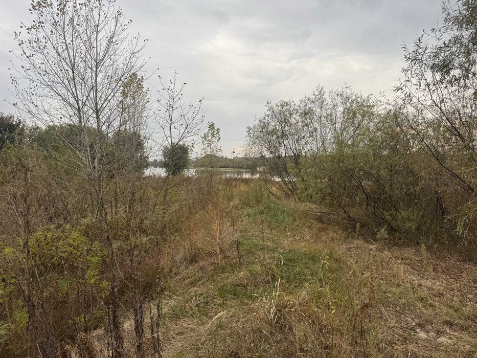 Продам участок 8 сот, дачне будівництво, перша лінія води, с. Зазим’я