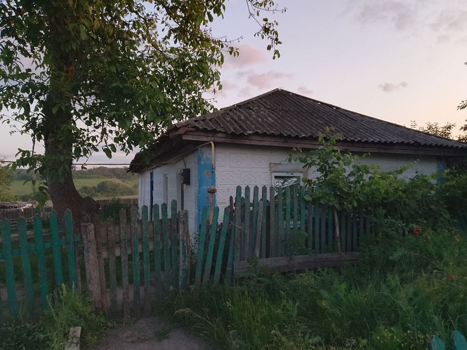 Будидинок на центральній вулиці