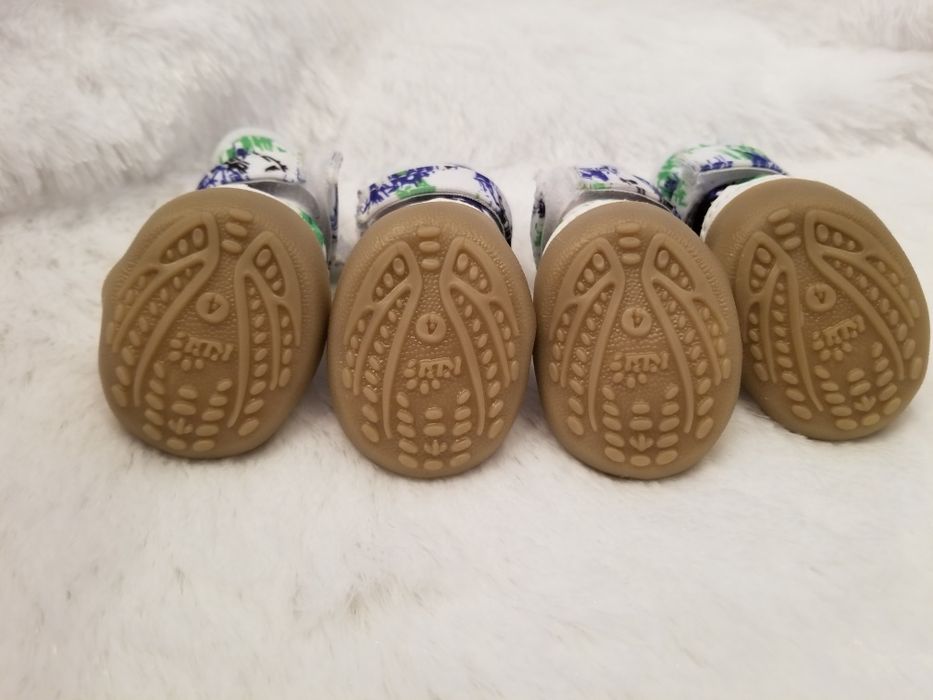 Взуття для собак