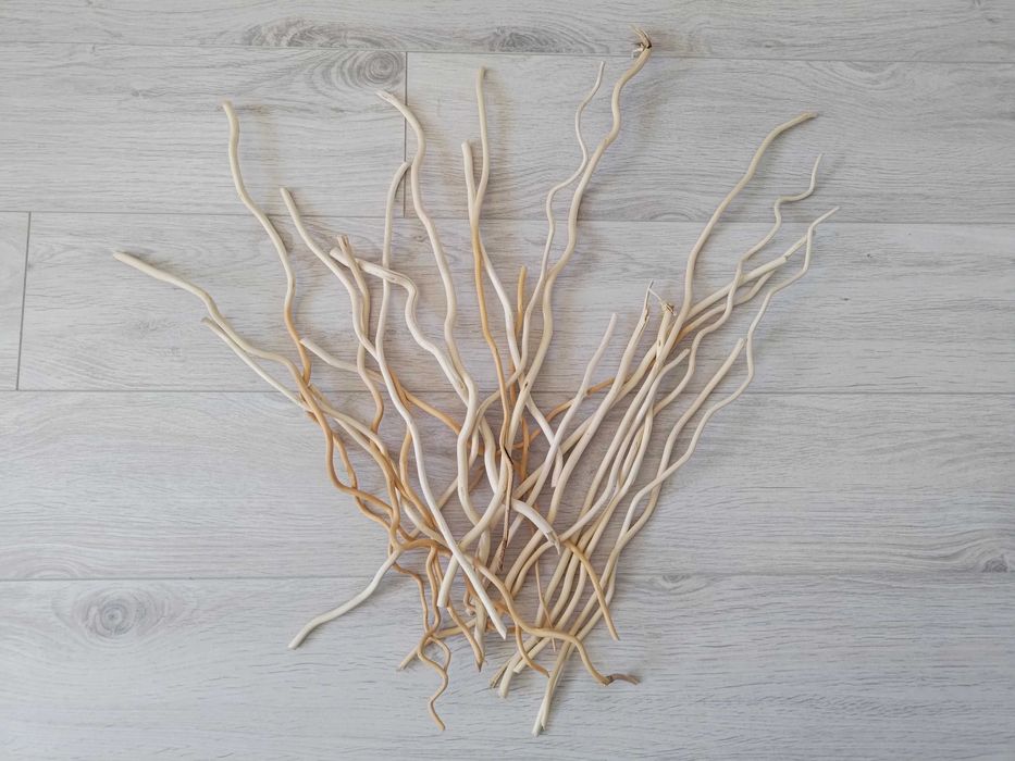 Gałązki ozdobne piękne beżowe
