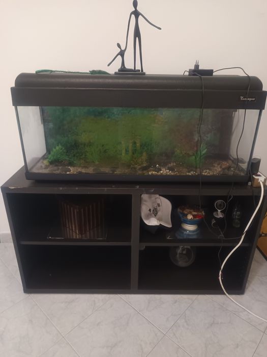 Aquario de 100l com móvel