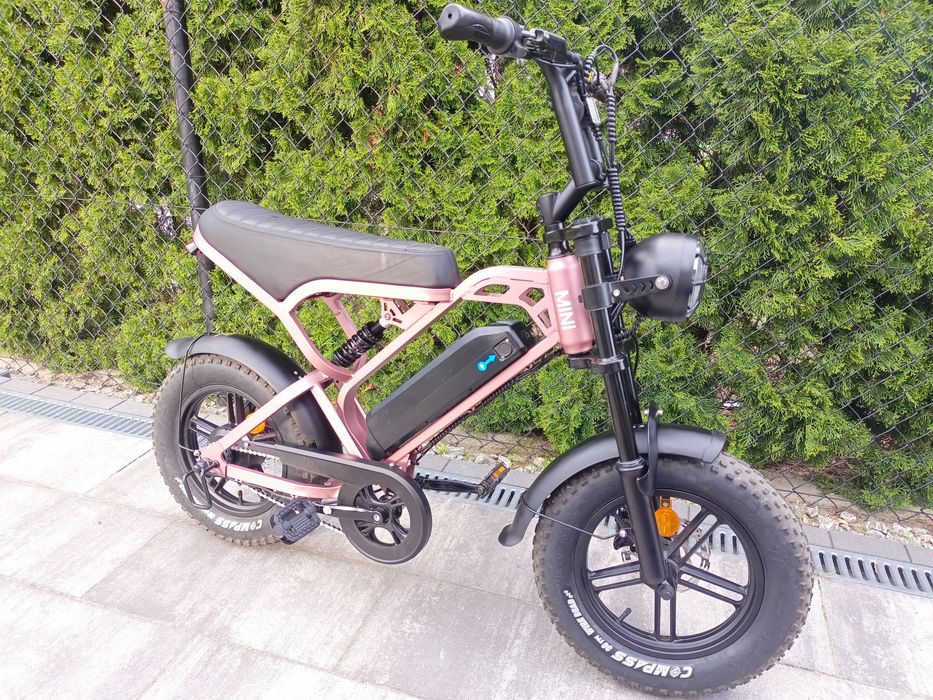 Fatbike v20 mini