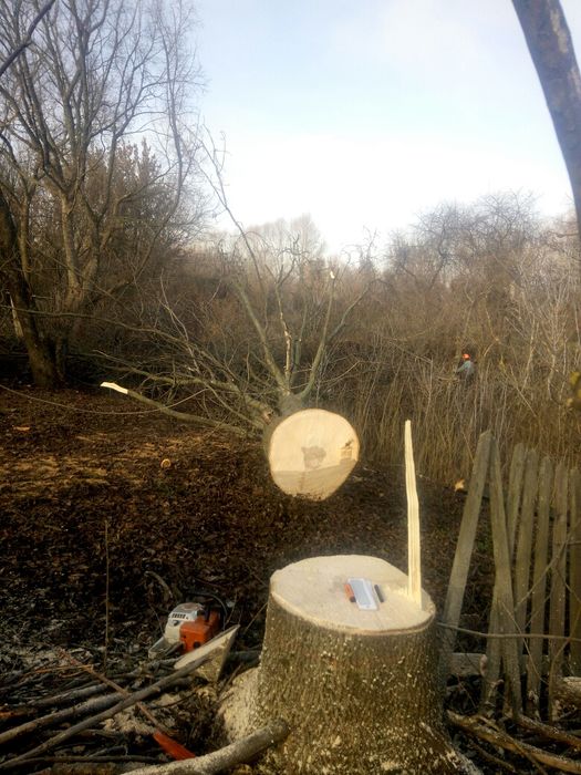 Спил аварійних дерев будь-якої складностi