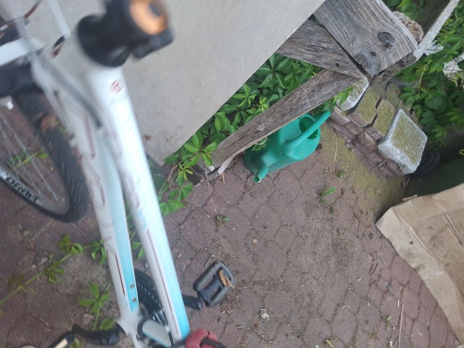 Rower typu mountain bike