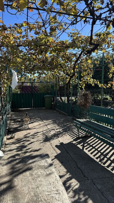 Будинок Олександрівка 43000$