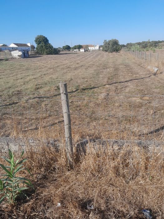 Arrendamento lotes terra