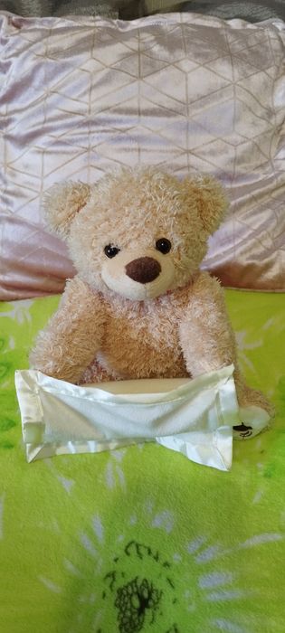 Плюшева дитяча іграшка Ведмедик Пікабу