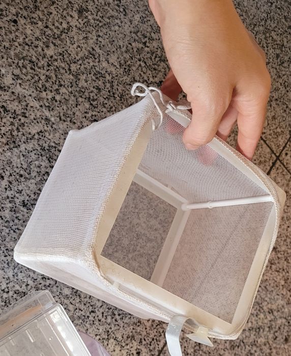 Maternidade de aquário peixes