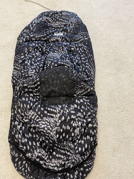 Spiwor spiworek Lodger zimowy 6 miesiecy 3 lata