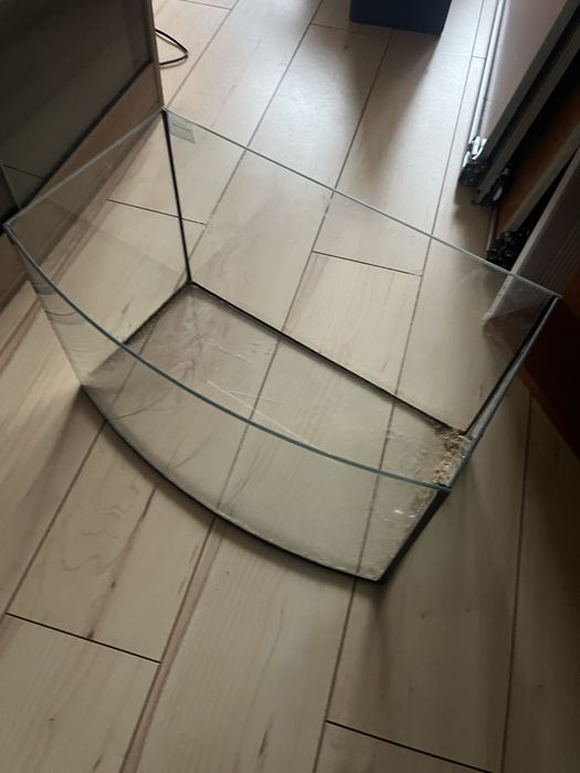 Akwarium z zaokrągloną przednią szybą