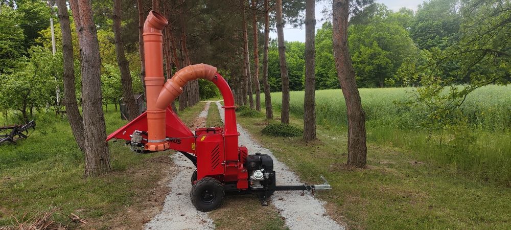 Rozdrabniacz spalinowy do gałęzi do 12cm Cedrus