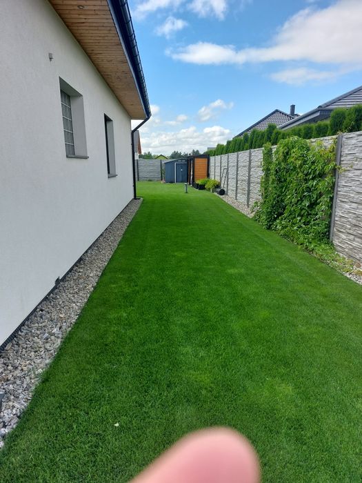 Aeracja z wykorkiem piaskowanie wertykulacja trawnikow