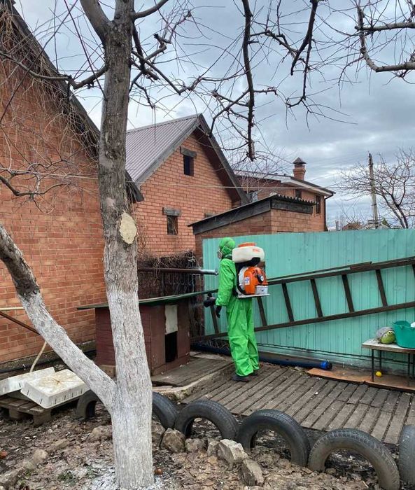 Травля тараканов срочно дезинсекция от тараканов уничтожение тараканов
