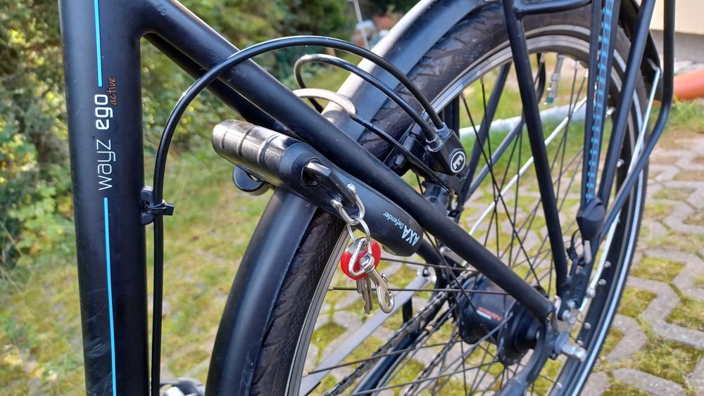 Rower elektryczny Batavus napęd BOSCH
