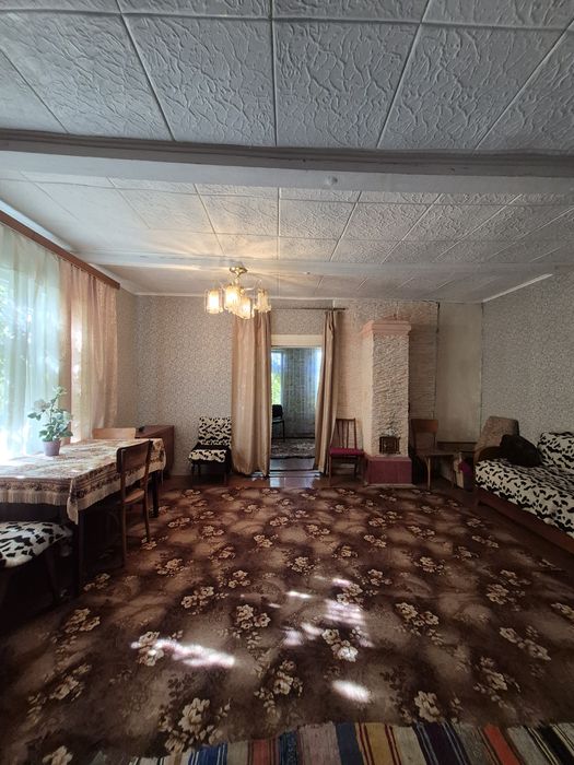 Великий будинок на березі Десни