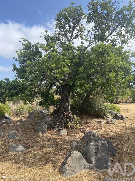 Terreno em Santa Catarina da Fonte do Bispo de 10000,00 m2