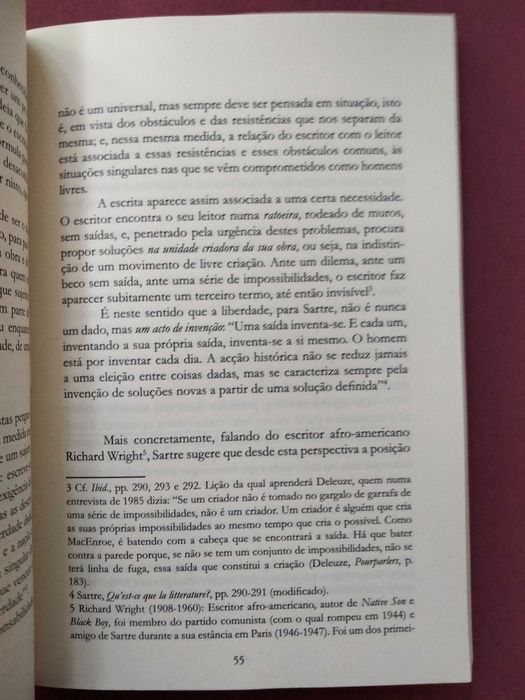A Postulação da Realidade - Eduardo Pellejero