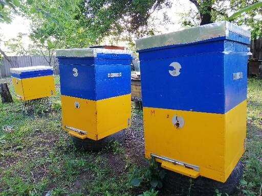 ПРОДАМ вулики 12 рамкові