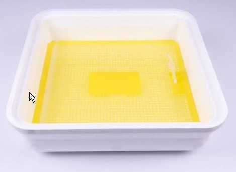 Інкубатор автомат Теплуша 88 Greeny ТАВ з вологом. , тільки 220В