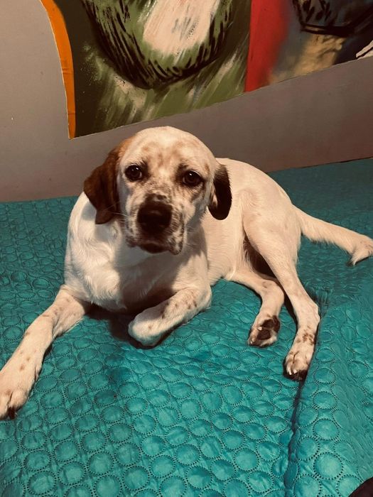 Mama e bebe para adopção responsável