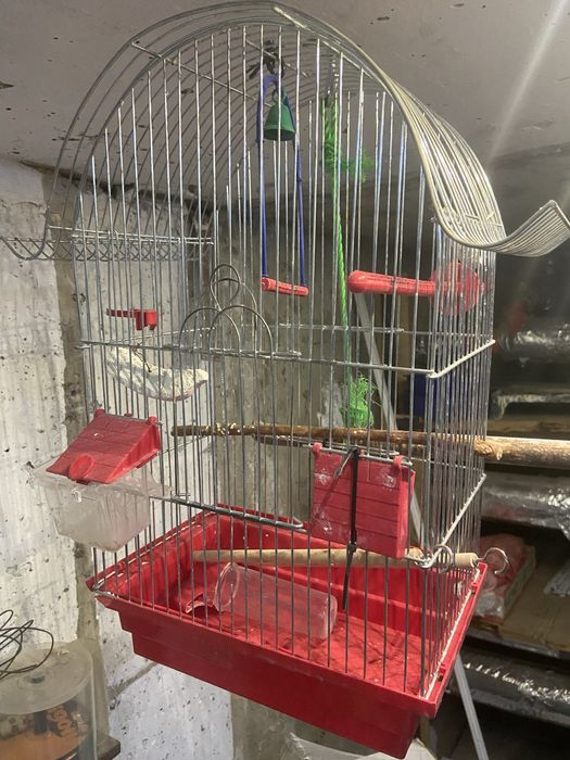 Клітка для папуг