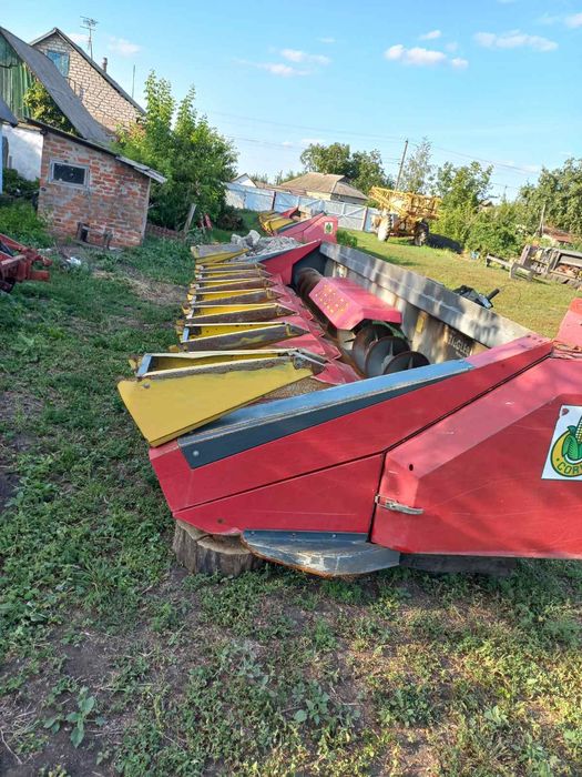 Бейне мультфильм секс ауыстыру