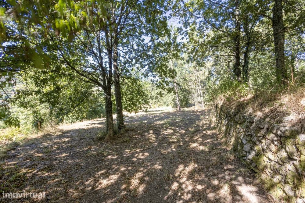 Quinta com 2 Hectares e Casa em Pedra para Recuperar em Gomide, Vila V