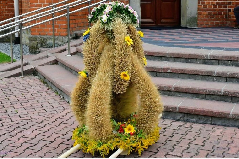 Wieniec dożynkowy