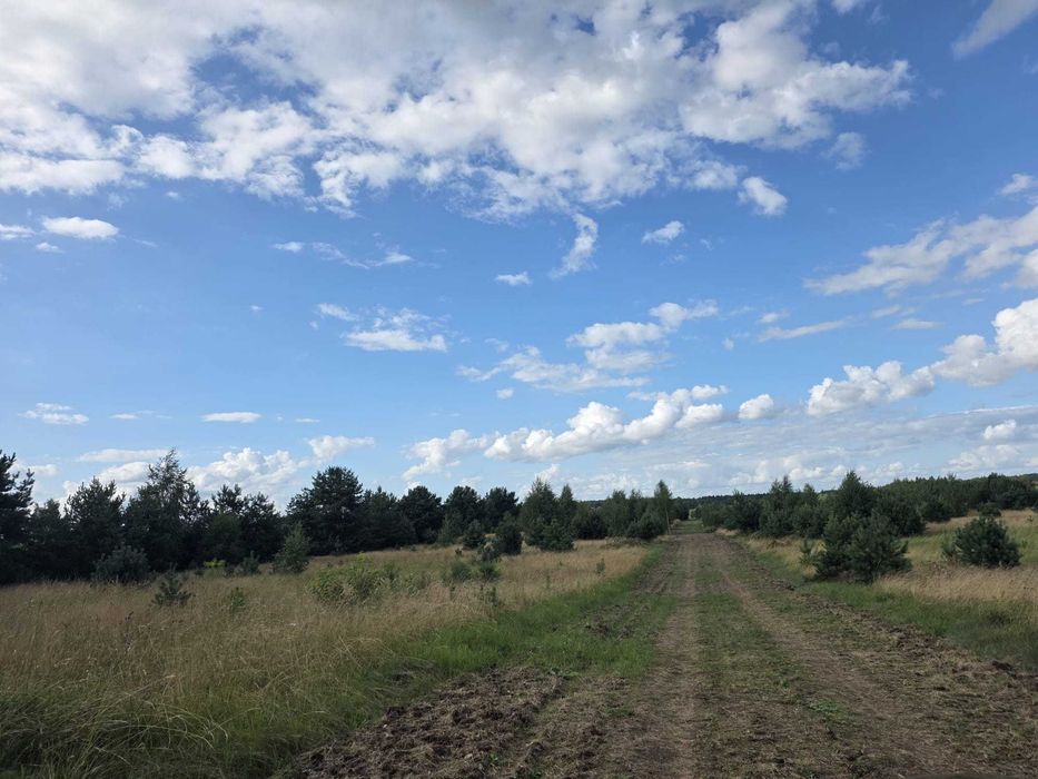 Mazury działki z zabudową jednorodzinną blisko jeziora.
