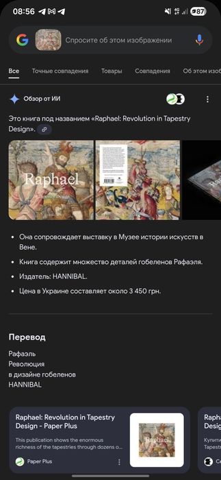 Книга Raphael Revolution in Tapestry Design