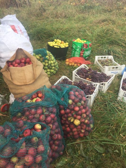 Обмін на квартиру . 20 км від міста