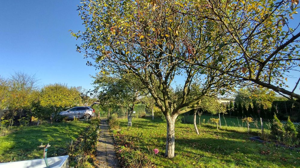 Ogród działkowy/ działka POD Leszczynko