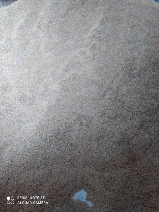 Sprzedam Owies zapraszam